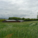 Bâtiment agricole