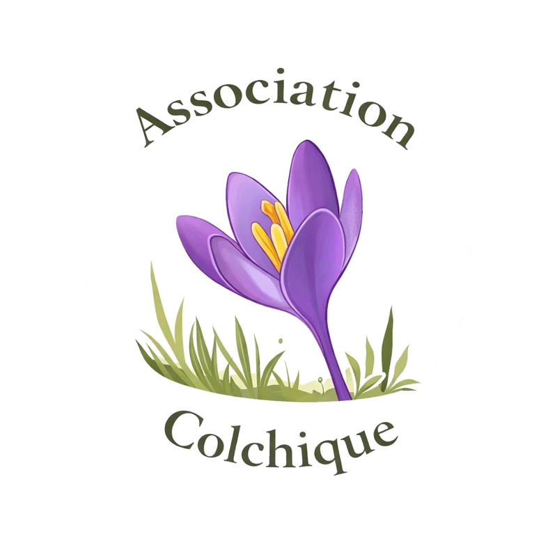 Colchique